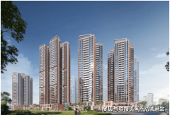 所有款子（首付款、尾款）均存入开辟商指定的