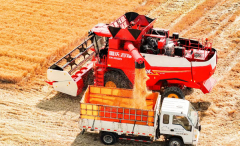 节约农业用水50